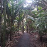 Nem szeretik a gondozatlan ösvényeket