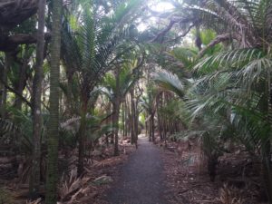 Nem szeretik a gondozatlan ösvényeket